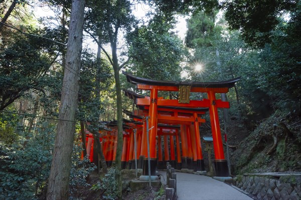 Fushimi Inari Taisha