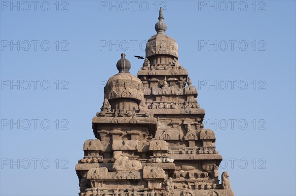 Shore Temple of Mahabalipuram