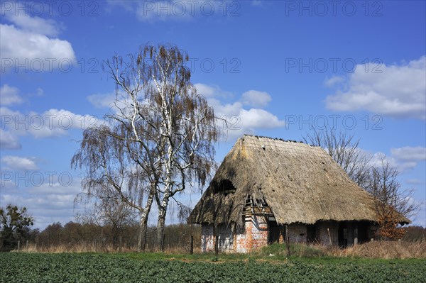Derelict farmhouse with a thatched roof