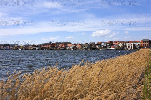 Townscape of the island town of Malchow and Malchow Lake