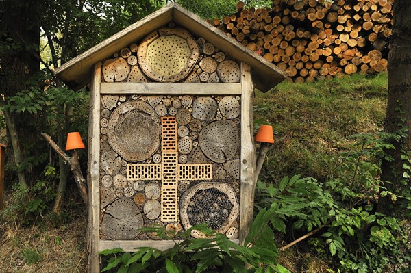 Insect hotel