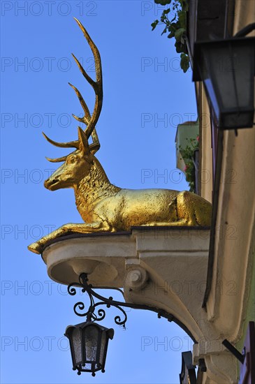 Deer sculpture