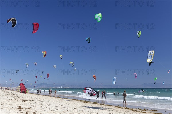 Beach and sky with lots of colorful traction kites of kitesurfers