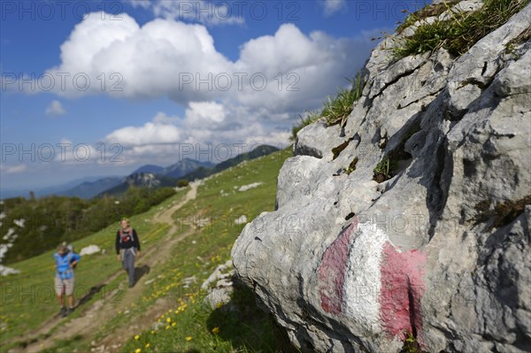 Hikers in front of Hochplatte Mountain