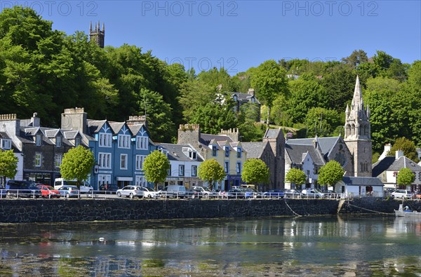 Houses on the harbour