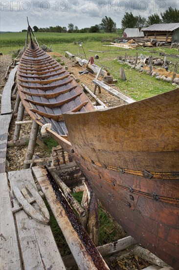 Viking ship