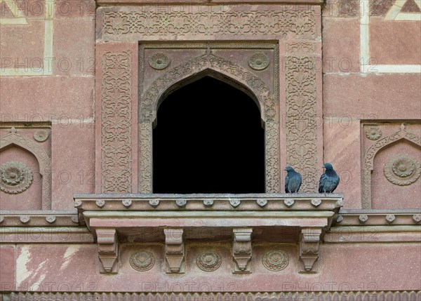 Pigeons on a balcony with decorative elements carved in sandstone