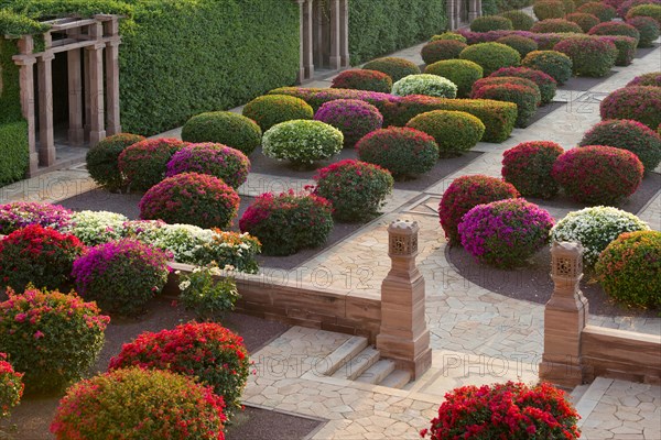 Gardens with colourful bougainvillea bushes