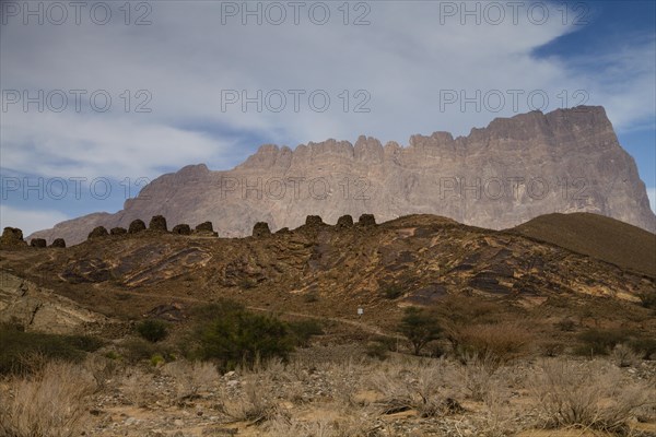Archaeological site of Al-Ayn