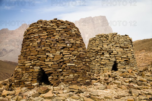 Archaeological site of Al-Ayn