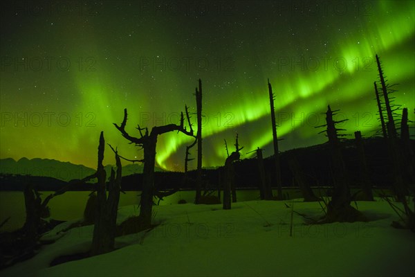 Northern lights