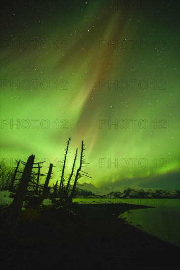 Northern lights