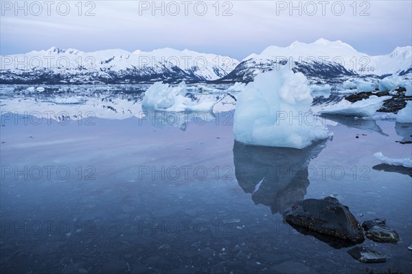 Icebergs at College Fjord