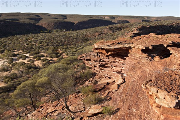 Murchison Gorge