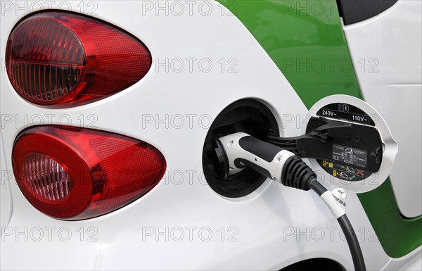 Fuel tank cap and plug of an electric Smart