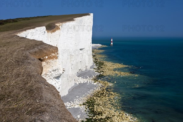 Lighthouse and white limestone cliffs at Beachy Head