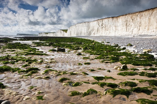 White chalk cliffs