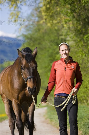 Young woman leading an Austrian Warmblood