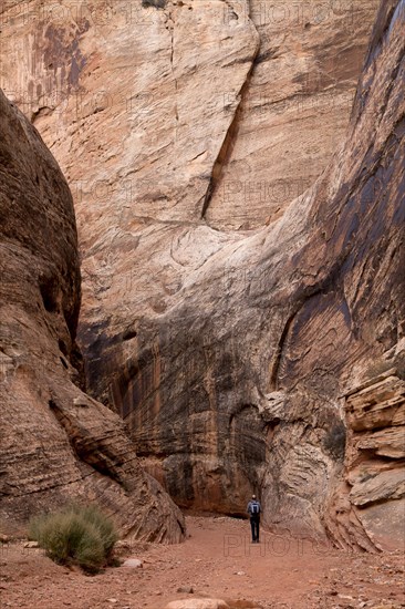 Tourist on the trail through Grand Wash Gorge