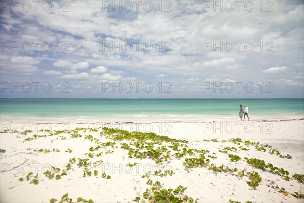 Couple walking along the beach