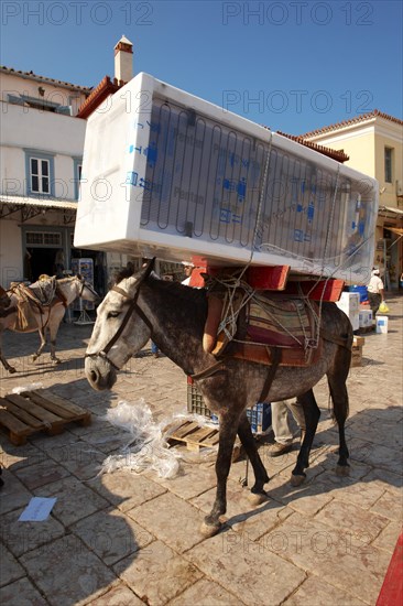 Pack pony moving a fridge