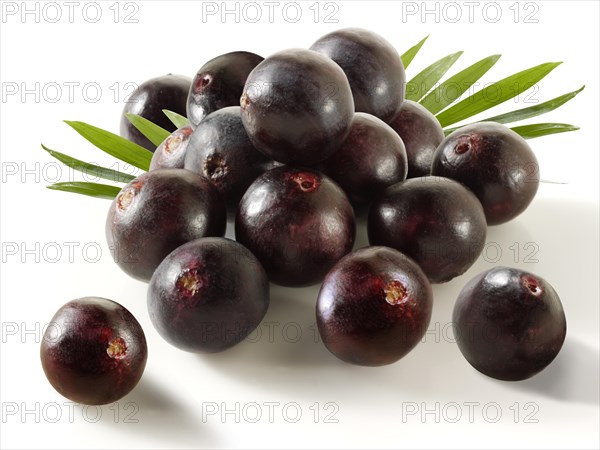 Acai berries (Euterpe oleracea)