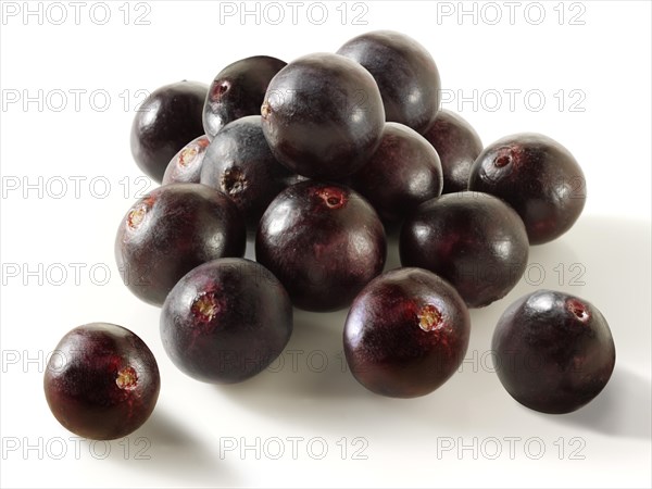 Fresh whole Acai berries (Euterpe oleracea)