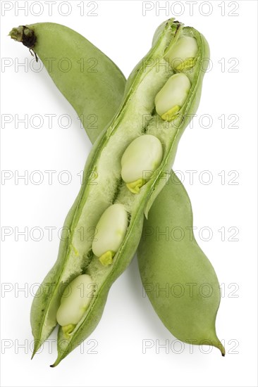 Broad beans (Vicia faba)