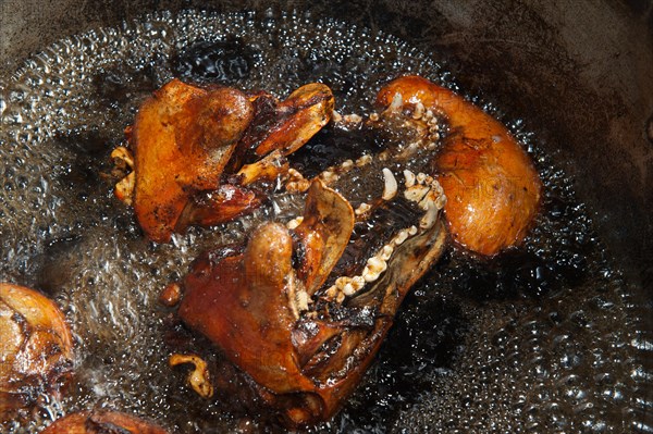 Slaughtered and dissected dogs being fried in hot oil