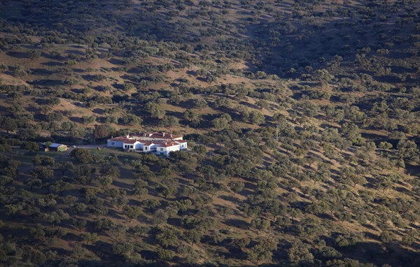 Holm Oak or Holly Oak forest with finca