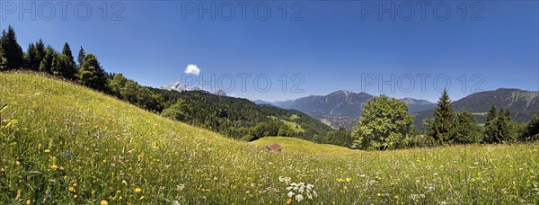 Green meadow on Eckbauer Mountain