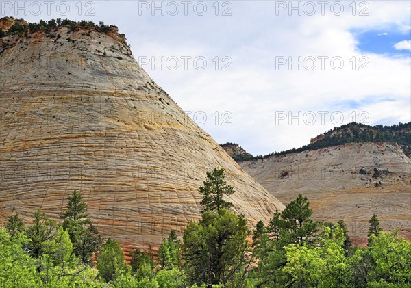 The Checkerboard Mesa