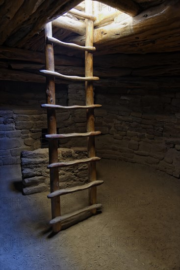 Ladder in a room of the Anasazi cliff dwelling Spruce Tree House