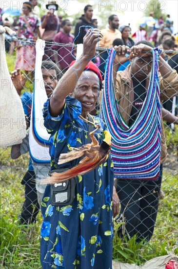 A Bird-of-Paradise (Paradisaeidae) as amusement for spectators at the traditional sing-sing gathering