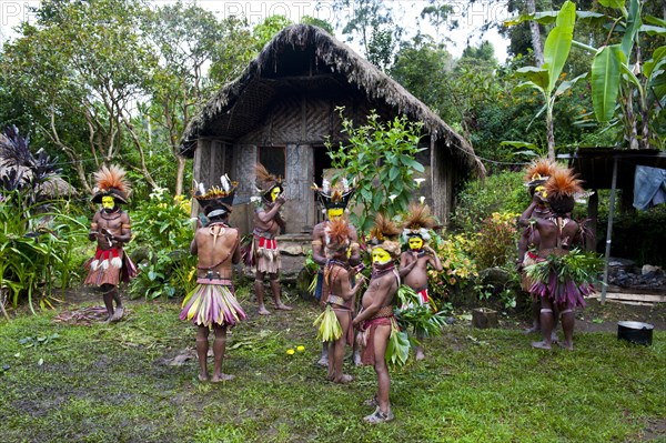Tribe with colourful decorations and face paint is celebrating at the traditional Sing Sing gathering in the highlands