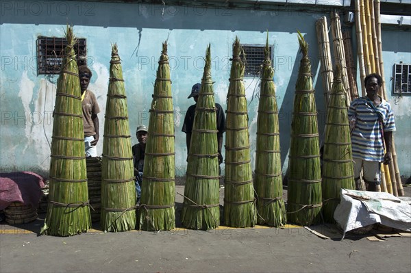 Reed for sale in front of the market hall