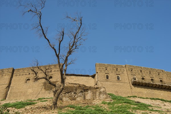 Citadel of Arbil