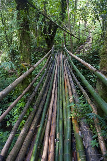 Bamboo bridge leading to the Millennium Cave