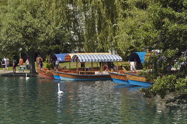 Docking area for boats