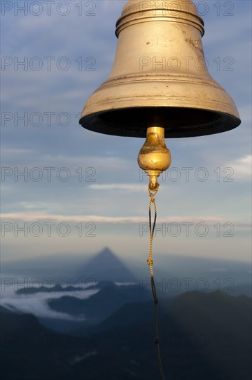 Bell