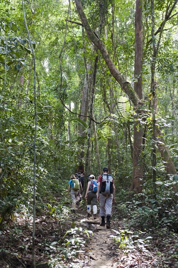 Jungle hike