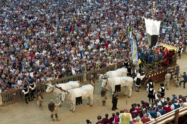 Procession in historical costumes