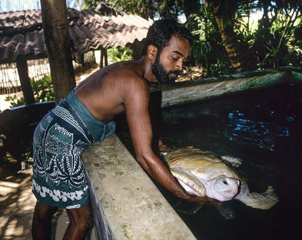 Man with very rare albino turtle