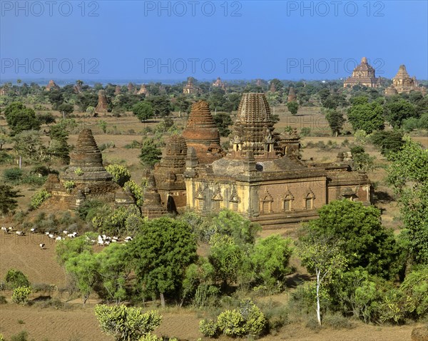 Field with ruins of Buddhist pagodas and temples