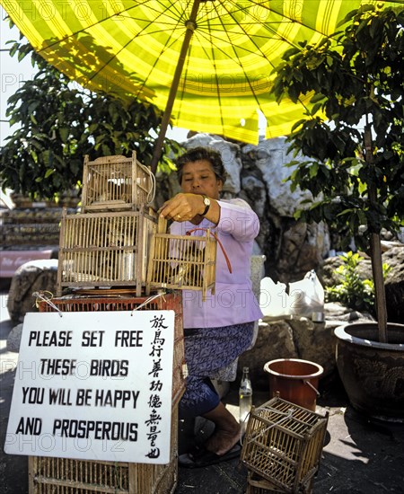 Bird saleswoman with bird cages