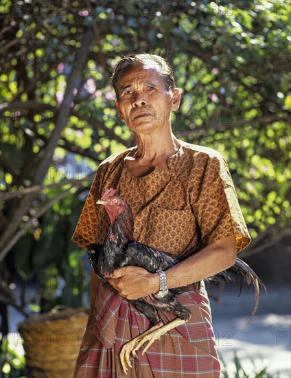 Elderly man wearing traditional clothing holding a cock