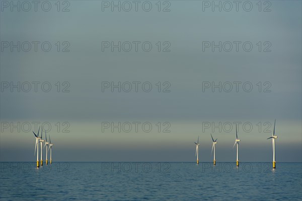 Windpark in the ocean