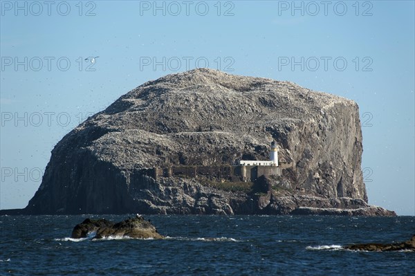 Bass Rock or The Bass