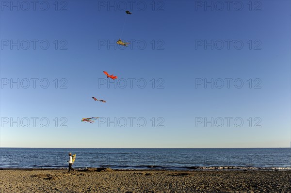 Man with many kites on the beach