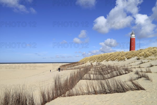 Eierland Lighthouse with dunes